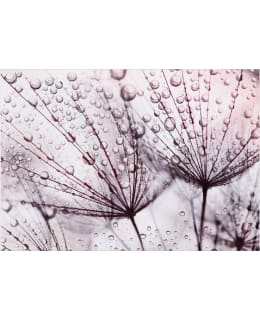 Artgeist A1-XLFT1975SAM IL-FOTOTAPETTI Main Image