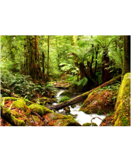 Artgeist A1-5XLFT1896SAM IL-FOTOTAPETTI Main Image