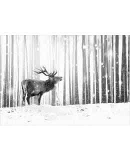 Artgeist A1-4XLFT1868SAM IL-FOTOTAPETTI Main Image