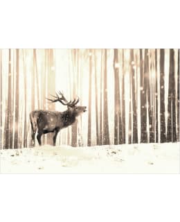 Artgeist A1-XLFT1869SAM IL-FOTOTAPETTI Main Image