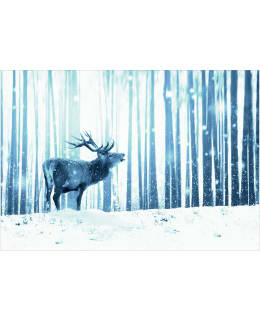 Artgeist A1-4XLFT1870SAM IL-FOTOTAPETTI Main Image