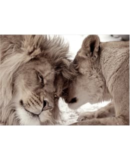 ARTGEIST A1-SFT1871SAM IL-FOTOTAPETTI Main Image