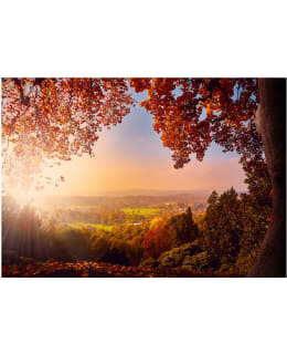 ARTGEIST A1-SFT1044 FOTOTAPETTI Main Image