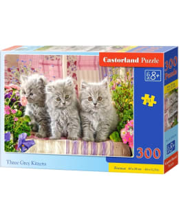 CASTORLAND THREE GREY KITT 300P PALAPELI Main Image