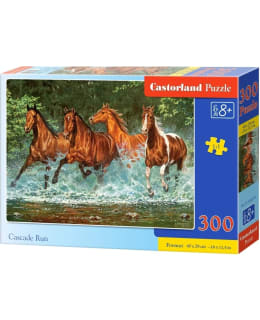 CASTORLAND CASCADE RUN 300P Main Image