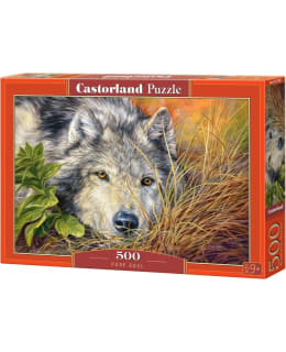 CASTORLAND PURE SOUL 500P Main Image