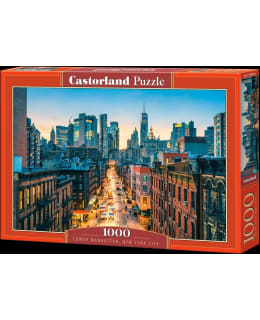 CASTORLAND LOWER MANHATTAN 1000P Main Image