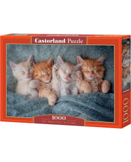 CASTORLAND THE SWEETEST 1000P PALAPELI Main Image
