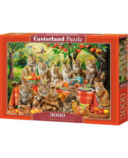 Castorland Cat Family Reunion 3000p puzzle Main Image