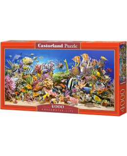 CASTORLAND UNDERWATER  4000P PALAPELI Main Image