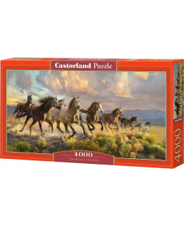 CASTORLAND THUNDER PRAIRIE 4000P Main Image