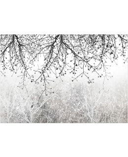 Artgeist A1-MFT2144 FOTOTAPETTI Main Image