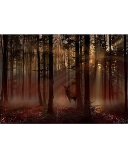 Artgeist A1-MFT1946 FOTOTAPETTI Main Image