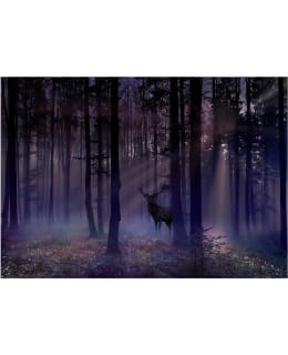 Artgeist A1-XLFT1947 FOTOTAPETTI Main Image