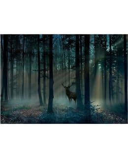 Artgeist A1-MFT1948 FOTOTAPETTI Main Image