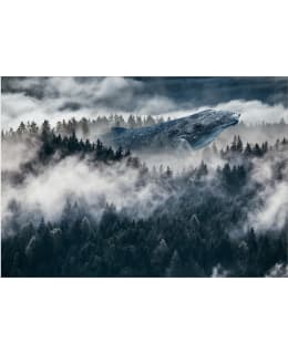 ARTGEIST A1-LFT2166 FOTOTAPETTI Main Image