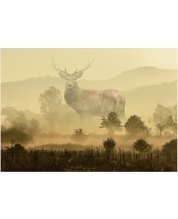 ARTGEIST A1-2XLFT2167 FOTOTAPETTI Main Image