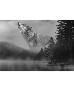 ARTGEIST A1-MFT2171 FOTOTAPETTI Main Image