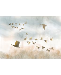 Artgeist A1-4XLFT2142 FOTOTAPETTI Main Image