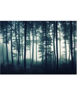 Artgeist A1-LFT1380 FOTOTAPETTI Main Image