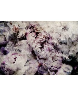 Artgeist A1-MFT2019 FOTOTAPETTI Main Image