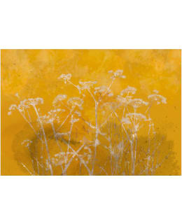 ARTGEIST A1-SFT2141 FOTOTAPETTI Main Image