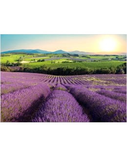 Artgeist A1-4XLFT1940 FOTOTAPETTI Main Image