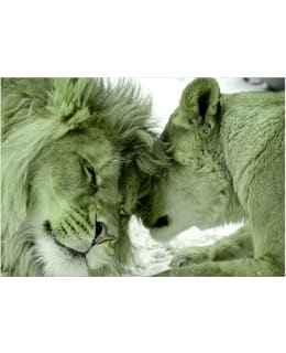 Artgeist A1-4XLFT1873 FOTOTAPETTI Main Image