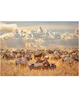 ARTGEIST A1-5XLFT1884 FOTOTAPETTI Main Image