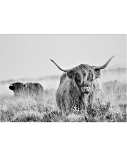 Artgeist A1-5XLFT1890 FOTOTAPETTI Main Image