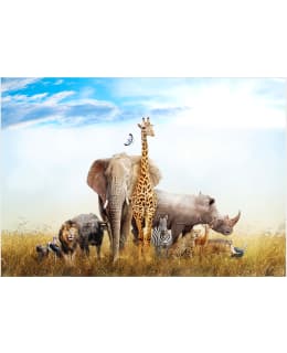 Artgeist A1-LFT1726 FOTOTAPETTI Main Image