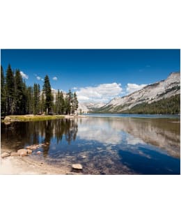 Artgeist A1-4XLFT1973 FOTOTAPETTI Main Image