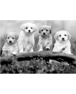 Artgeist A1-MFT1963 FOTOTAPETTI Main Image