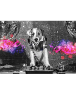 ARTGEIST A1-MFT1966 FOTOTAPETTI Main Image