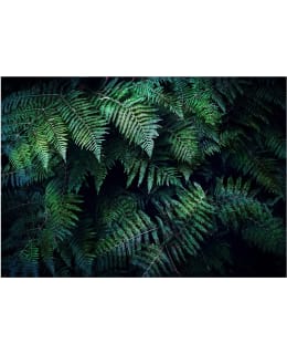 Artgeist A1-3XLFT1828 FOTOTAPETTI Main Image