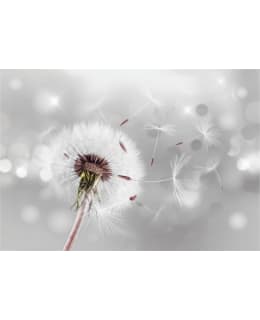 Artgeist A1-5XLFT568 FOTOTAPETTI Main Image