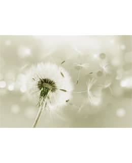 Artgeist A1-XLFT570 FOTOTAPETTI Main Image