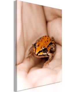 ARTGEIST A1-N9229 TAULU Main Image