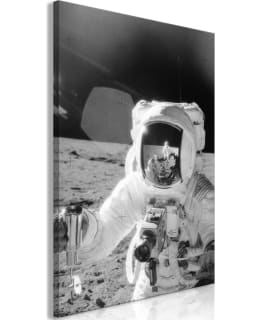 ARTGEIST A1-N9492 TAULU Main Image