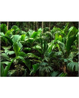 ARTGEIST A1-4XLFT2244 FOTOTAPETTI Main Image