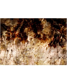 ARTGEIST A1-4XLFT2250 FOTOTAPETTI Main Image