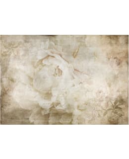 ARTGEIST A1-XLFT2306 FOTOTAPETTI Main Image