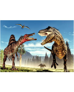 ARTGEIST A1-5XLXSFT1736SAM IL-TAPETTI Main Image