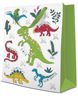 DINOSAURUS 20X25X10CM LAHJAKASSI Main Image