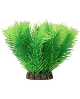 AQUAEL 10CM TUUHEA AKVAARIOKASVI MUOVIA Main Image