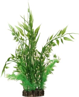 AQUAEL 20CM AKVAARIOKASVI MUOVIA Main Image