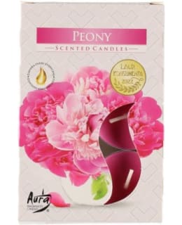 AURA 627552 6KPL PEONY TUOKSUKYNT Main Image