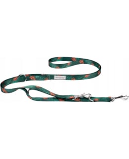 AMIPLAY BH VIHREÄ 7IN1/2,5CM TALUTIN Main Image