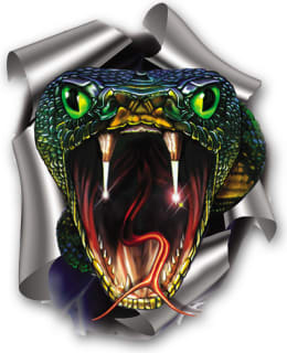 AVISA VIPER 200X175MM TARRA Main Image