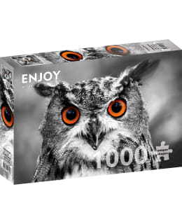 CURIOUS OWL 1000P PALAPELI Main Image